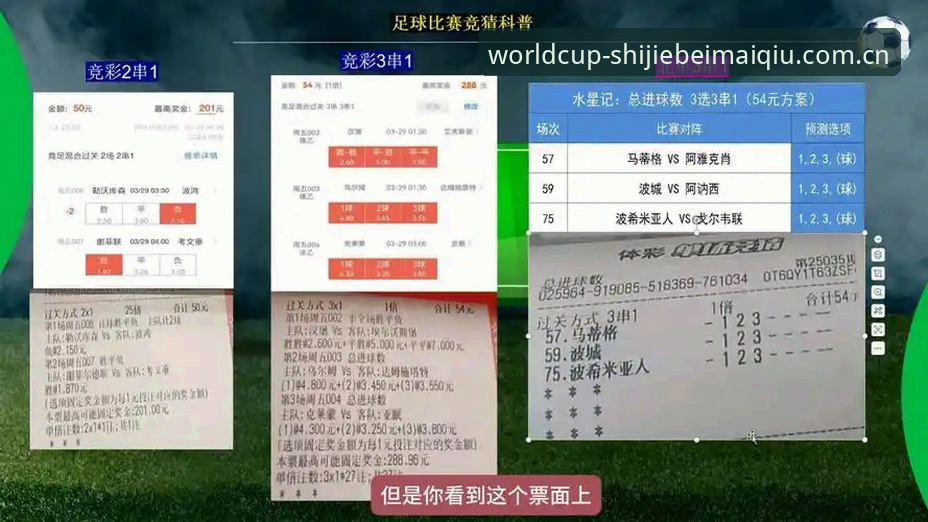 资深用户深度体验：世界杯竞猜平台实战心得与数据分析